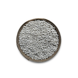 Şeker İspir Fasulye